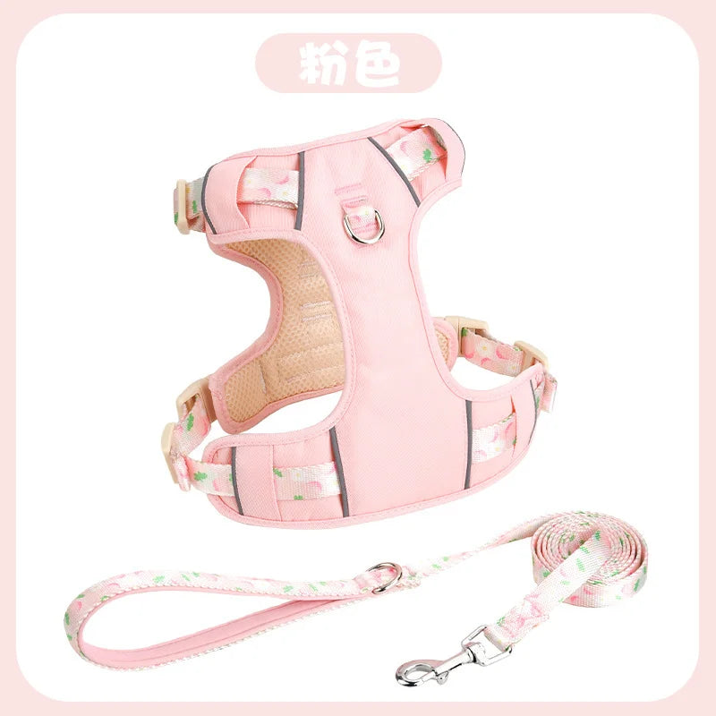 Adjustable Dog Collar and Harness Set
