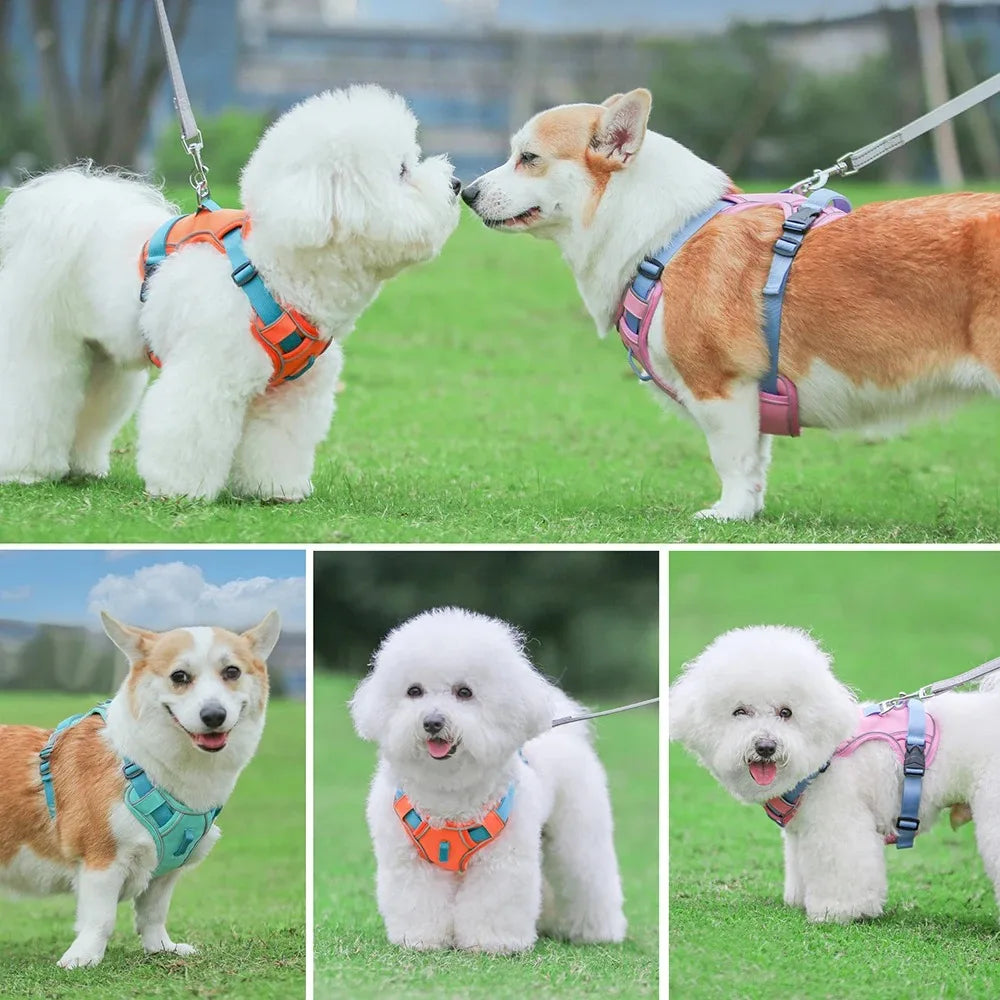 Dog Chest Strap Harness & Leash Set - Adjustable for Small to Large Breeds