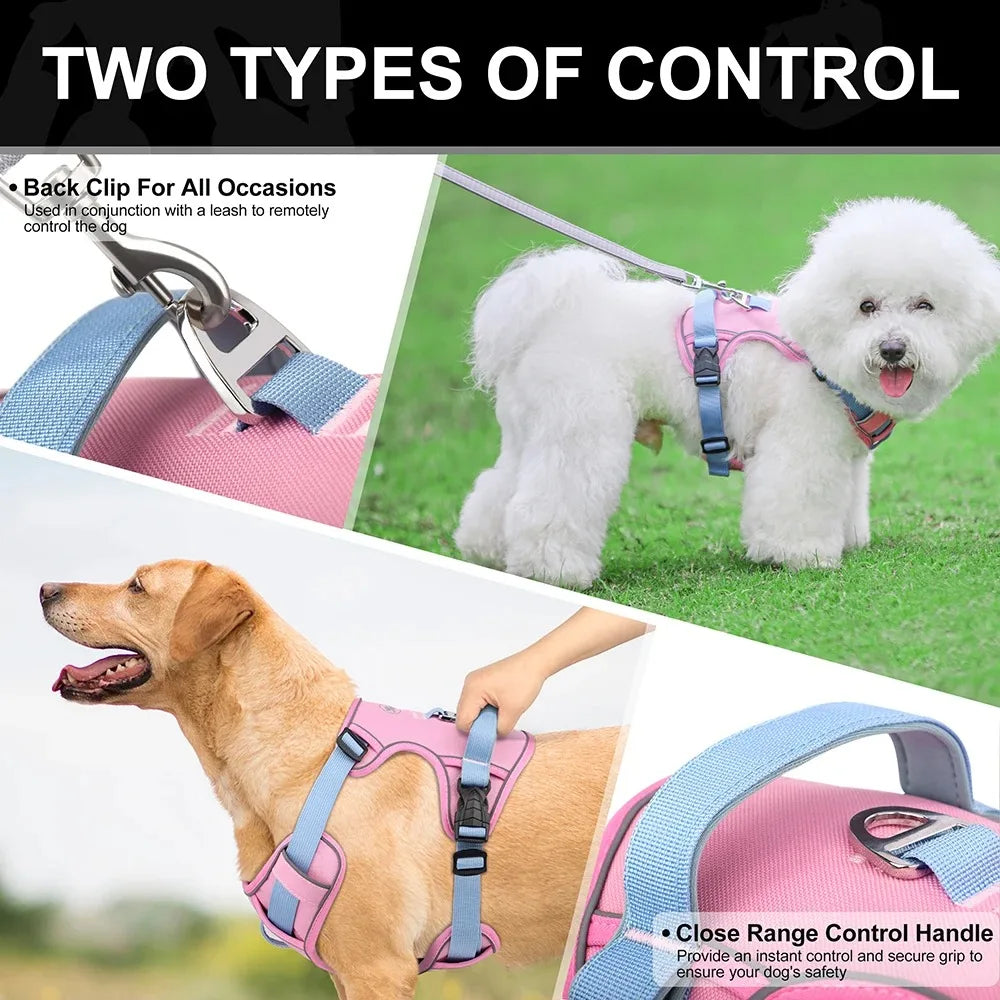 Dog Chest Strap Harness & Leash Set - Adjustable for Small to Large Breeds