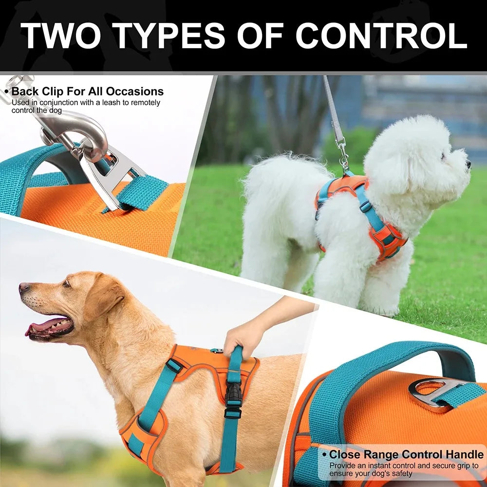 Dog Chest Strap Harness & Leash Set - Adjustable for Small to Large Breeds