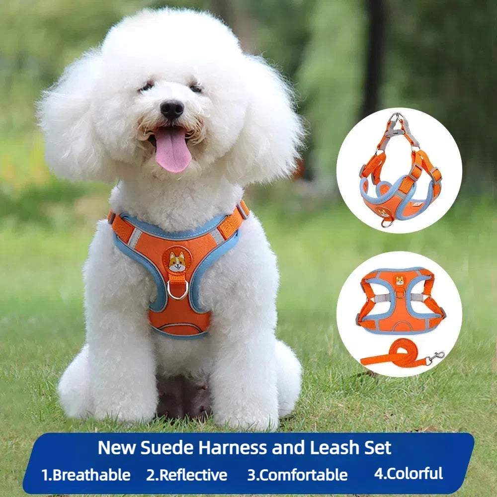 No-Pull Harness and Leash Set - Reflective Vest for Small Dogs
