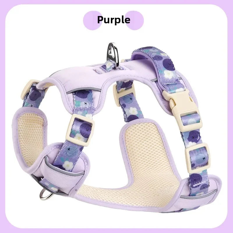Adjustable Dog Collar and Harness Set