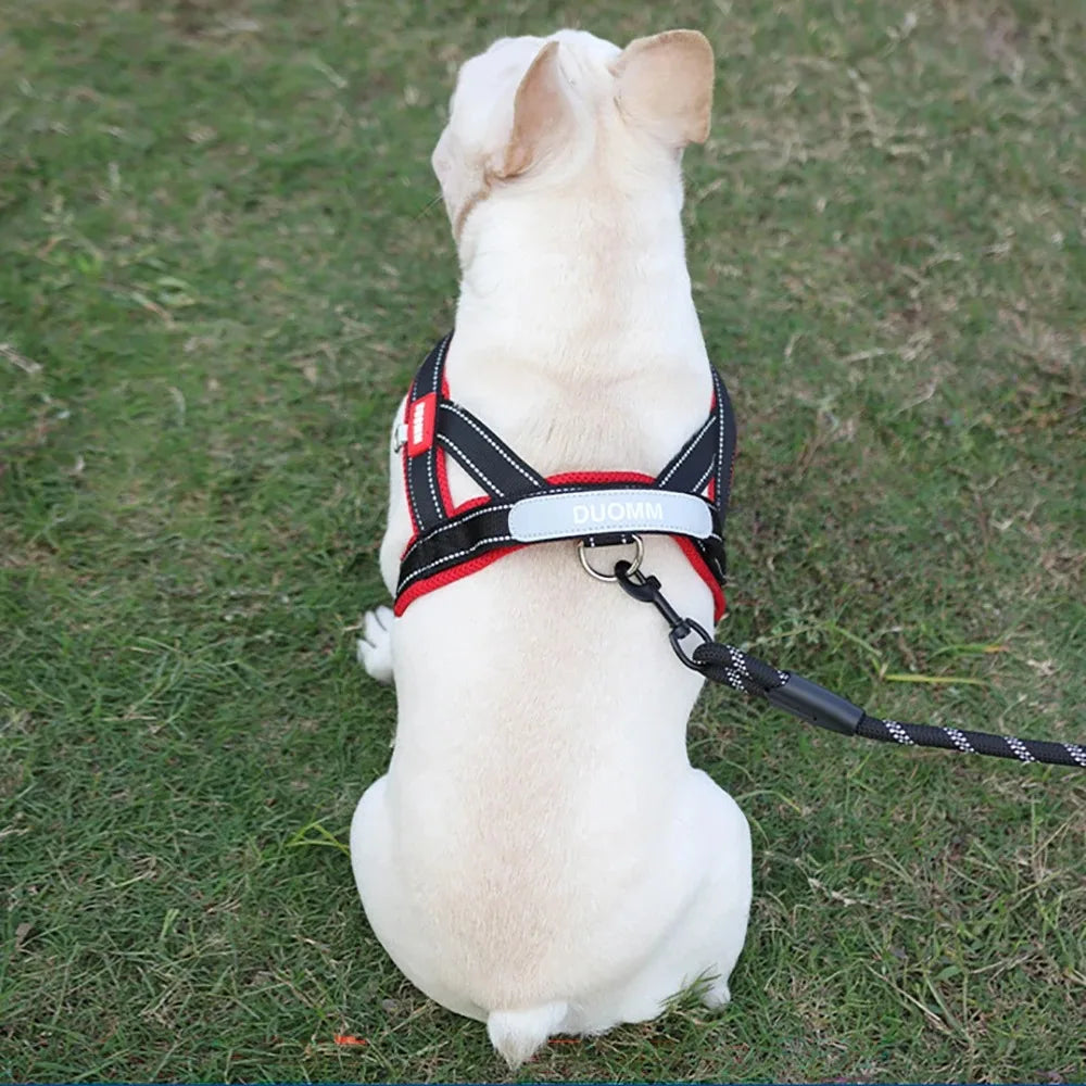 Dog Harness with Chest Strap for Puppies