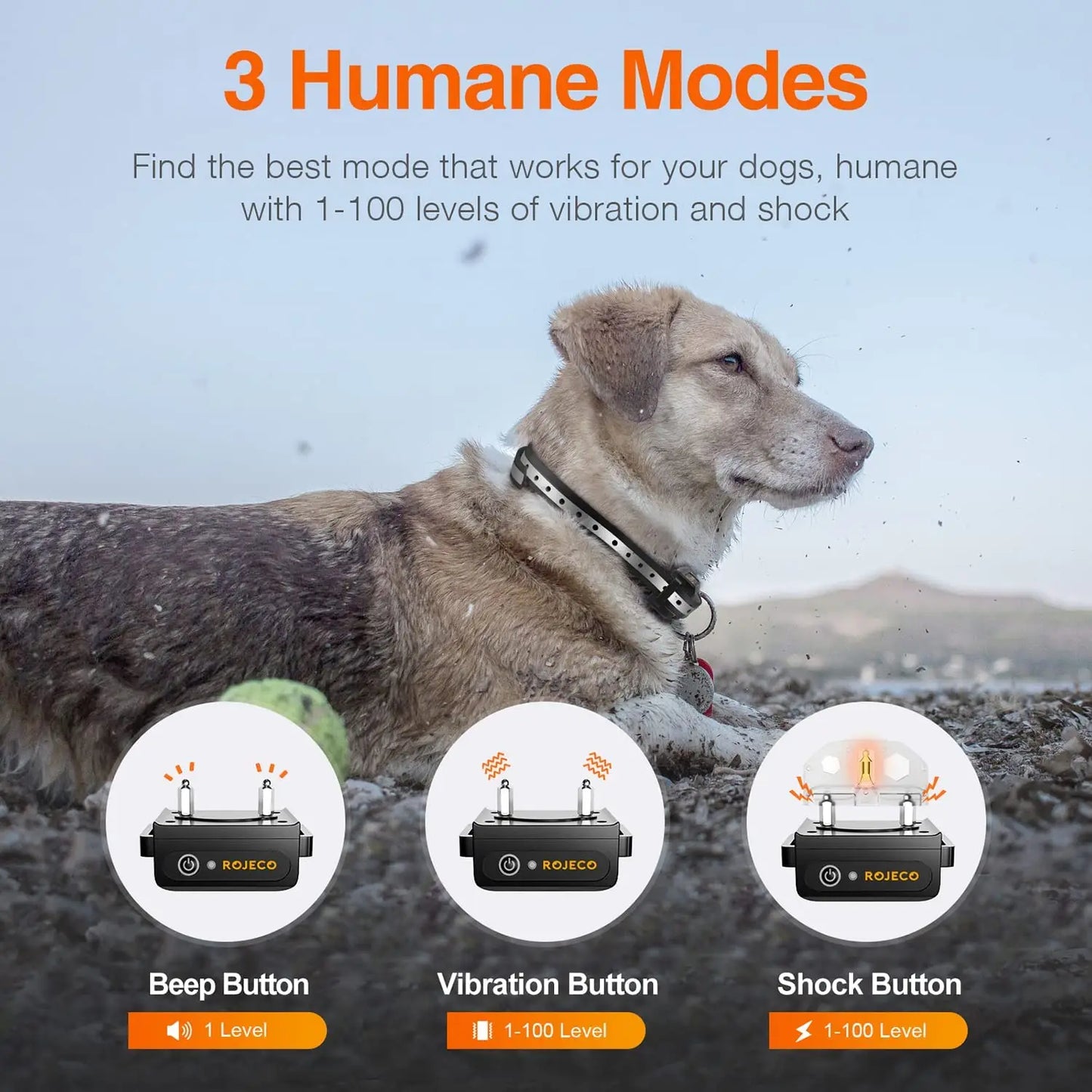 Remote Dog Training Collar - 1000m Range Rechargeable Bark Control System