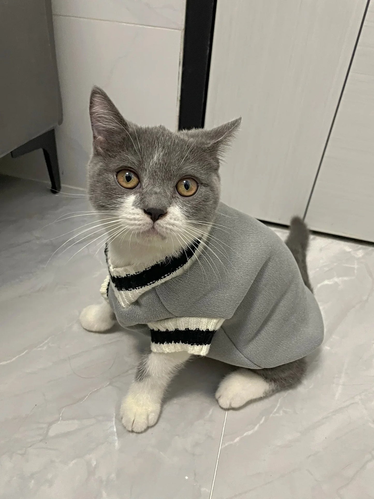 Pet Sweater - Warm Pullover Vest for Dogs and Cats