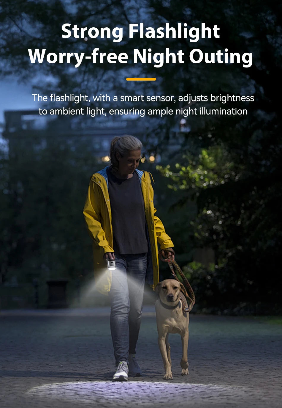 Ultrasonic Dog Training Device - Anti-Barking Trainer with LED Flashlight