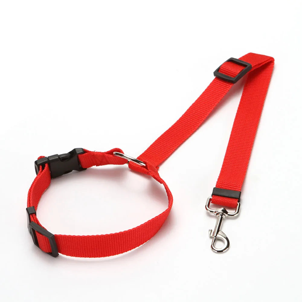 Harnais réglable et ceinture de sécurité pour chien
