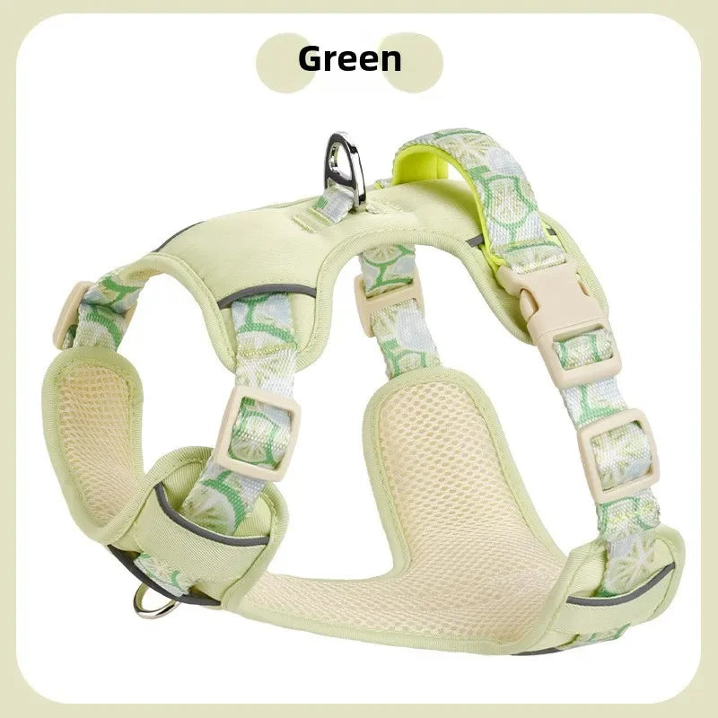 Adjustable Dog Collar and Harness Set
