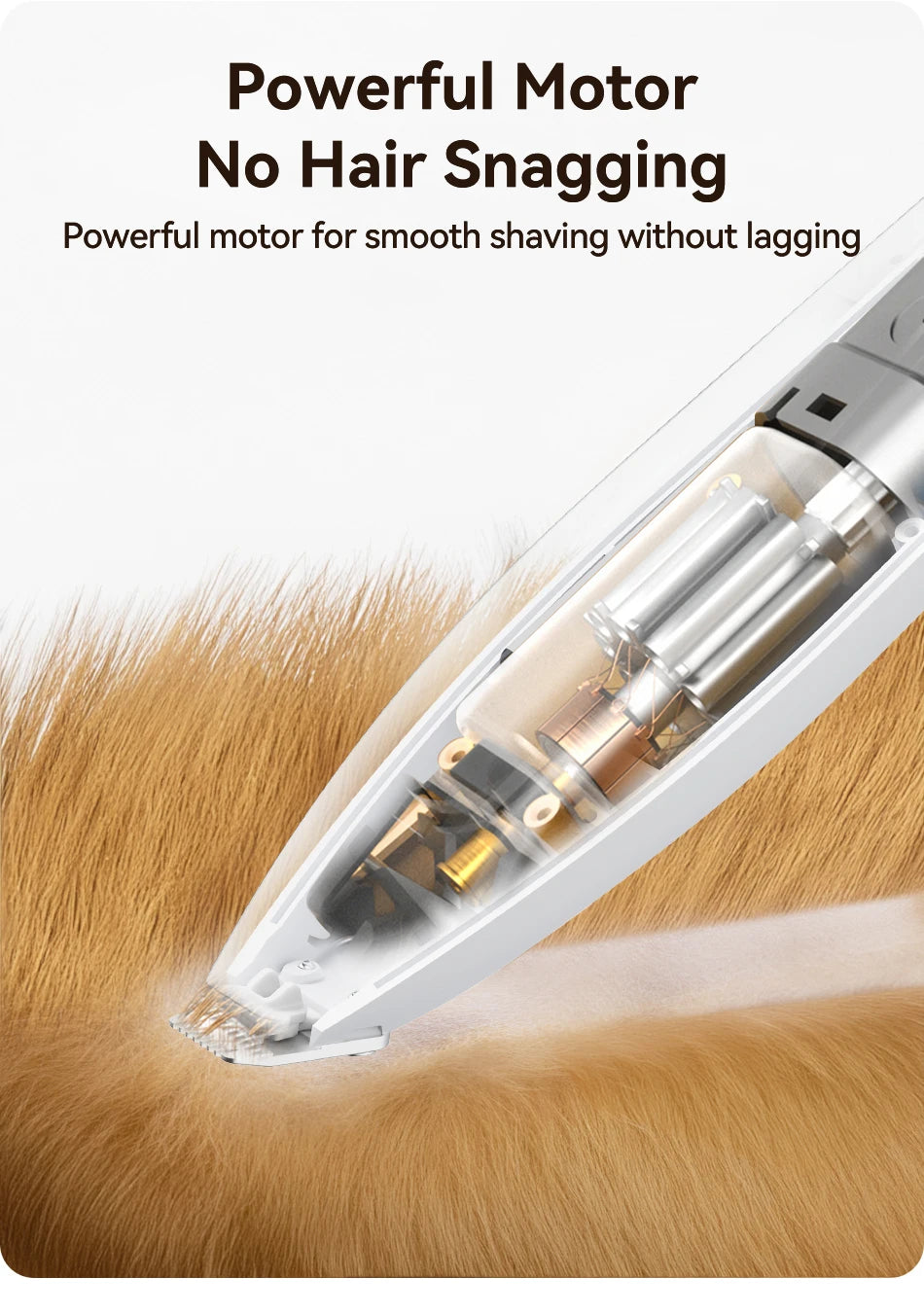 Professional Electric Pet Clipper with LED Light and Rechargeable Battery