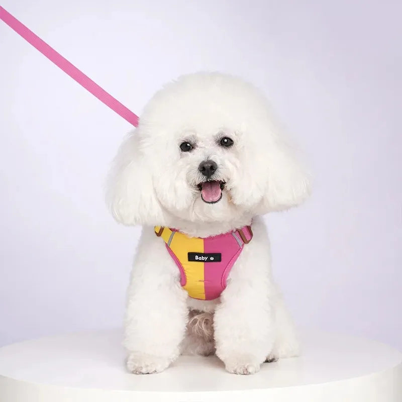 Adjustable Dog Harness Chest Strap