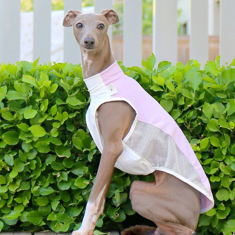 Breathable Summer Cooling Vest for Dogs & Cats