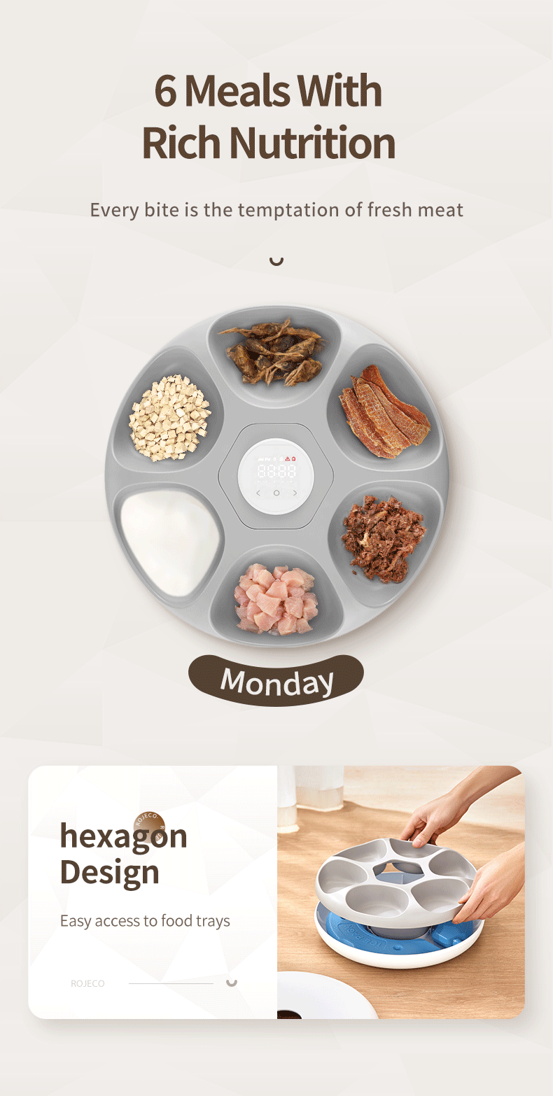 6-Meal Automatic Pet Feeder - Smart Food Dispenser for Wet & Dry Food