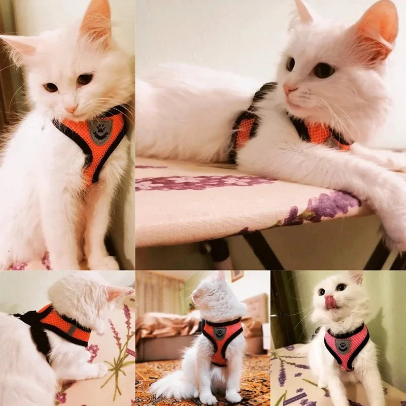 Tactical Dog Vest & Collar Set - Chest Strap Harness for Small Breeds