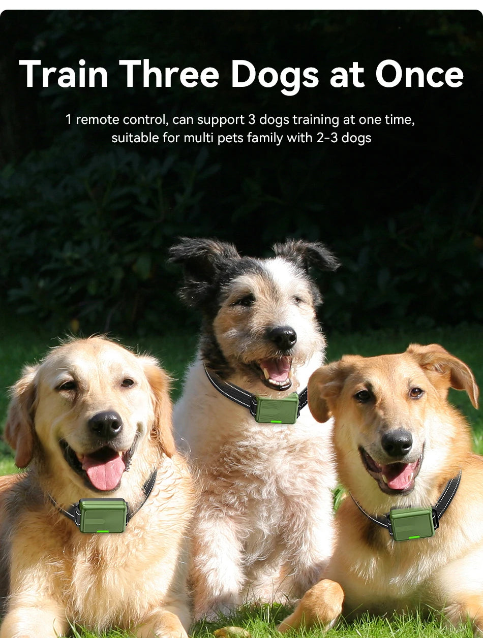 Remote Dog Training Collar - Rechargeable Bark Control System with Multiple Training Modes
