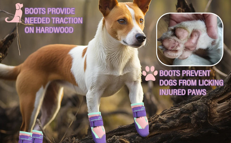 Anti-Slip Dog Boots & Paw Protectors | Set of 4