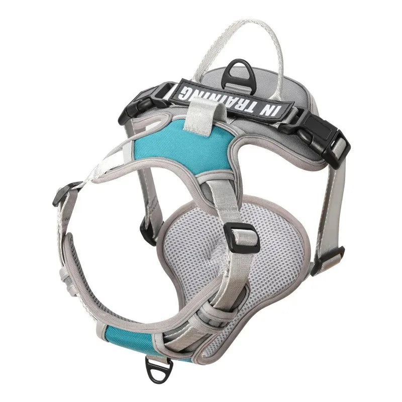 Premium Dog Harness - Comfortable, Stylish, and Durable