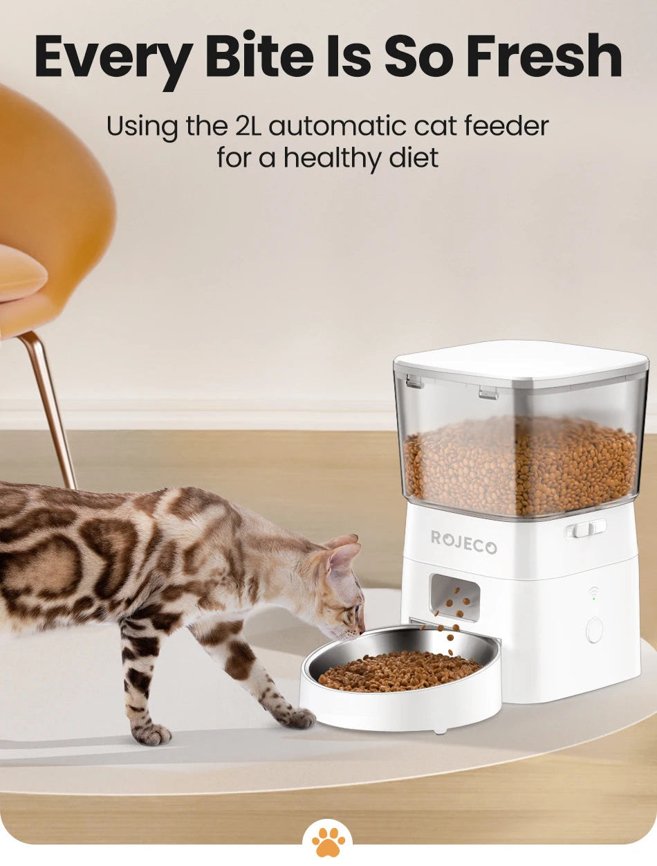 Adjustable Height Elevated Holder for Automatic Pet Feeders