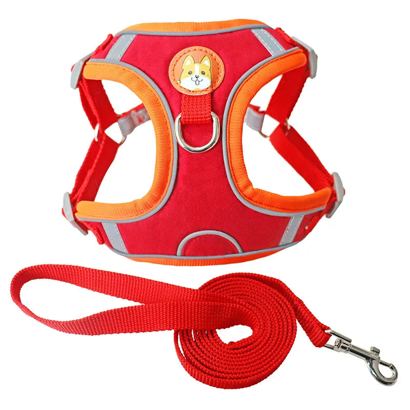 No-Pull Harness and Leash Set - Reflective Vest for Small Dogs