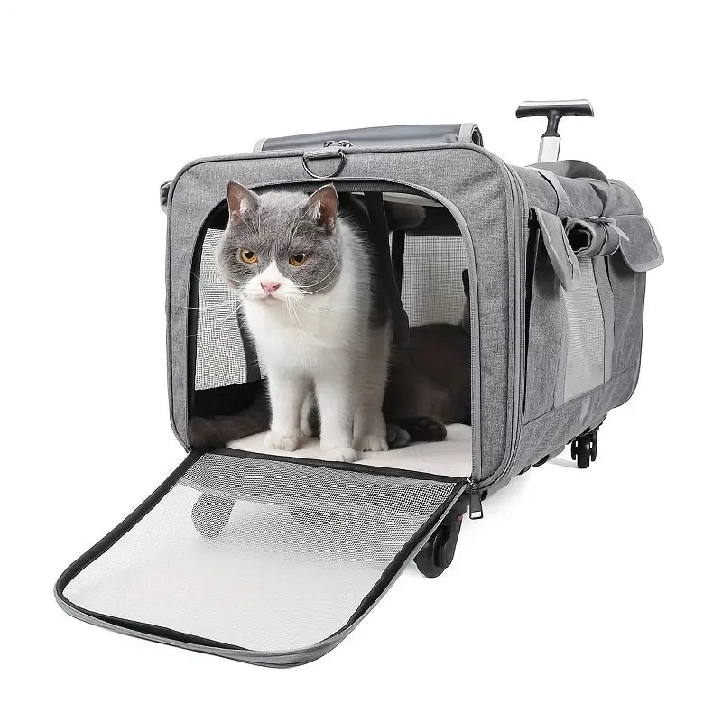 Poussette de transport pliable extra-large pour animaux de compagnie