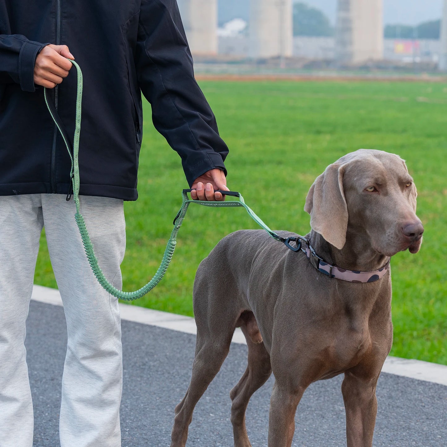 Heavy Duty Tactical Dog Lead — Reflective Bungee No-Pull Lead with Double Padded Handle for Medium & Large Dogs