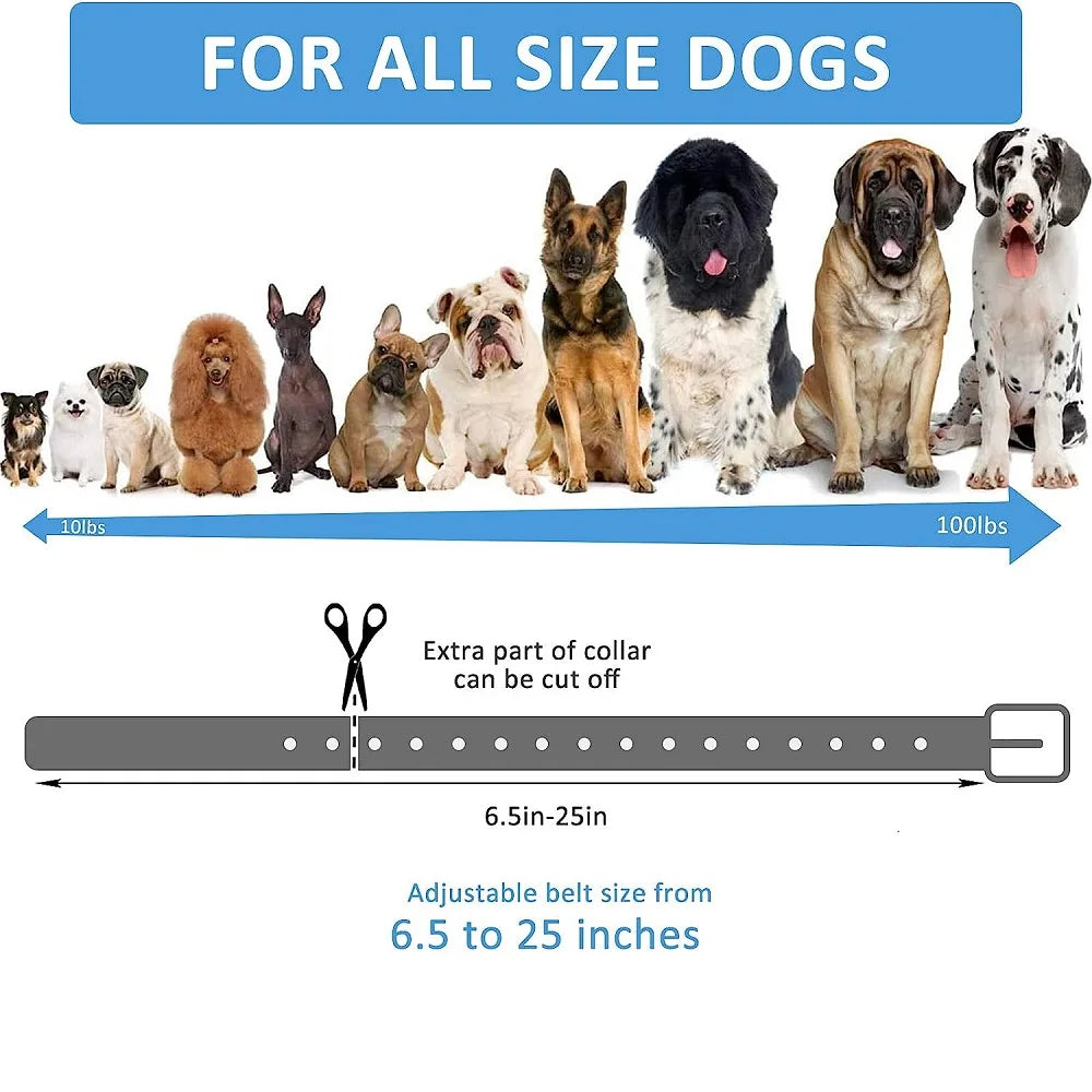 Glow-in-the-Dark TPU Dog Collar – Waterproof & Easy Clean