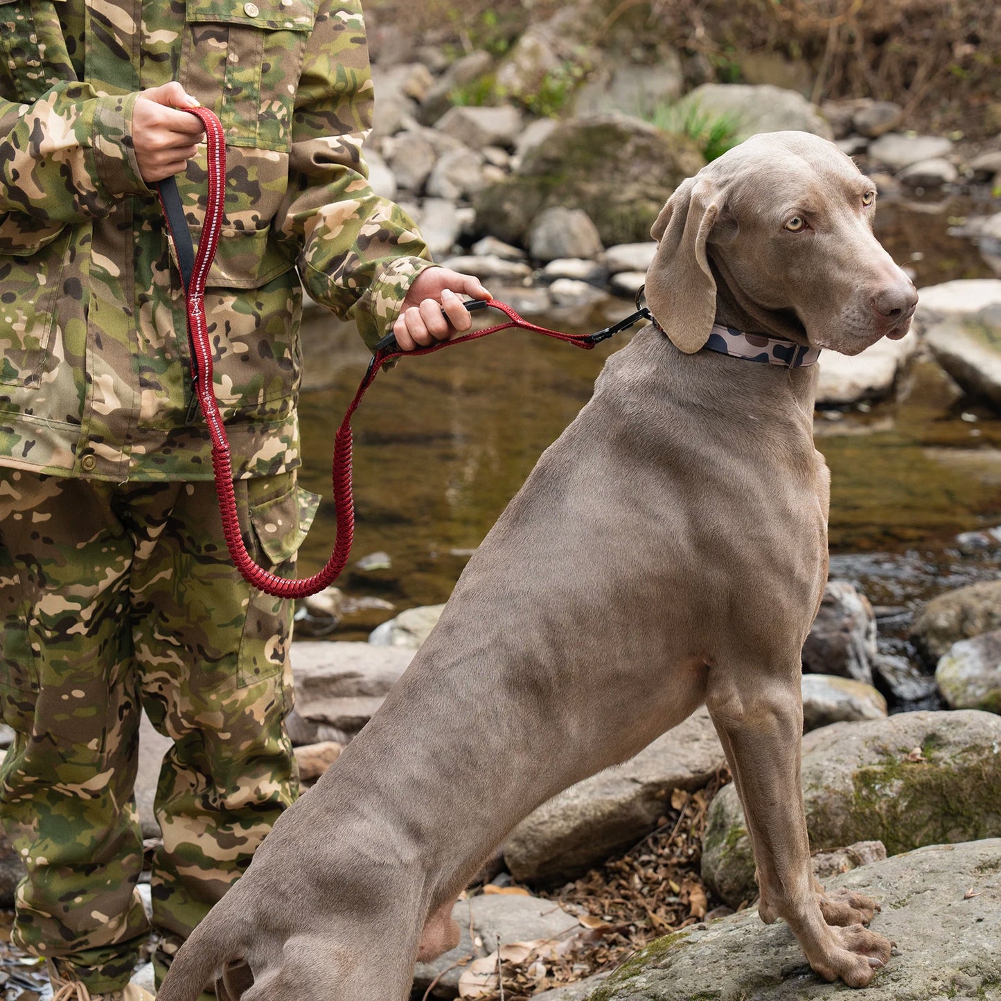 Heavy Duty Tactical Dog Lead — Reflective Bungee No-Pull Lead with Double Padded Handle for Medium & Large Dogs