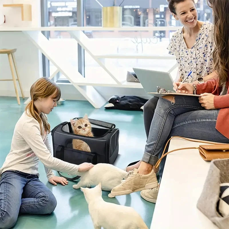 Sac de transport pliable pour animaux de compagnie avec fermetures éclair de sécurité et gamelle bonus