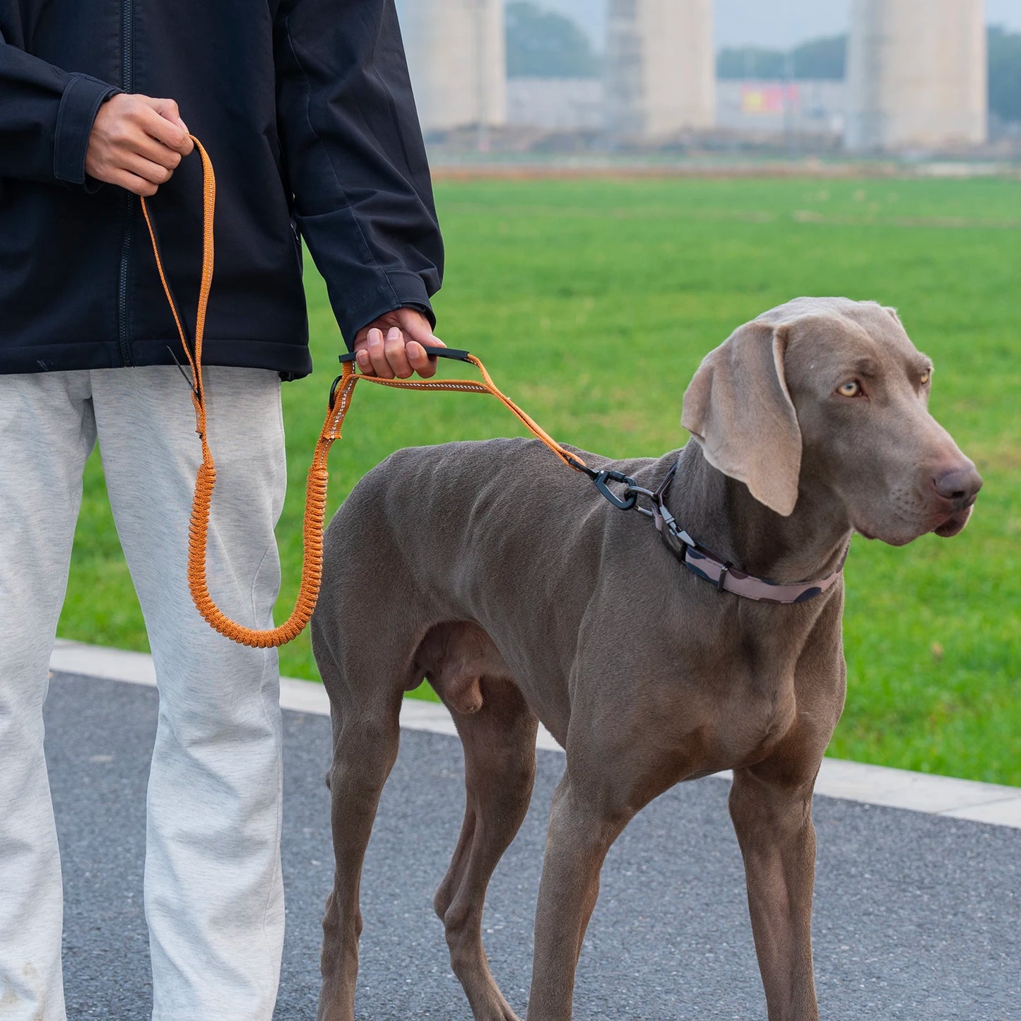 Heavy Duty Tactical Dog Lead — Reflective Bungee No-Pull Lead with Double Padded Handle for Medium & Large Dogs