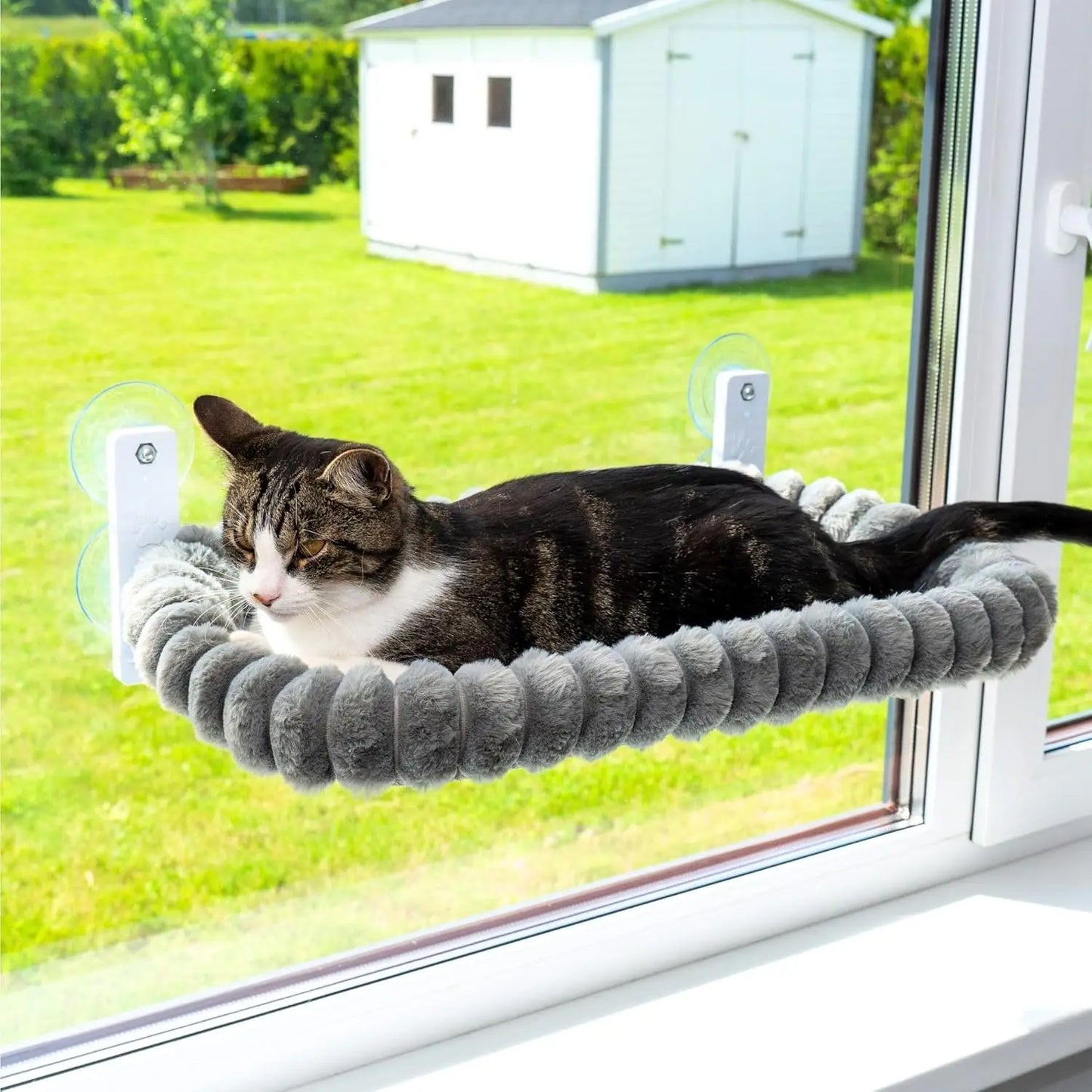Perchoir de fenêtre pliable et hamac pour chat avec ventouses