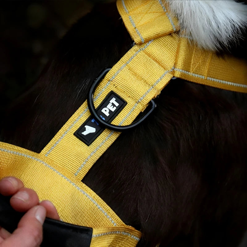Y-Shaped No-Pull Dog Harness with Leather Handle — Soft Padded, Metal Buckles & Adjustable Fit