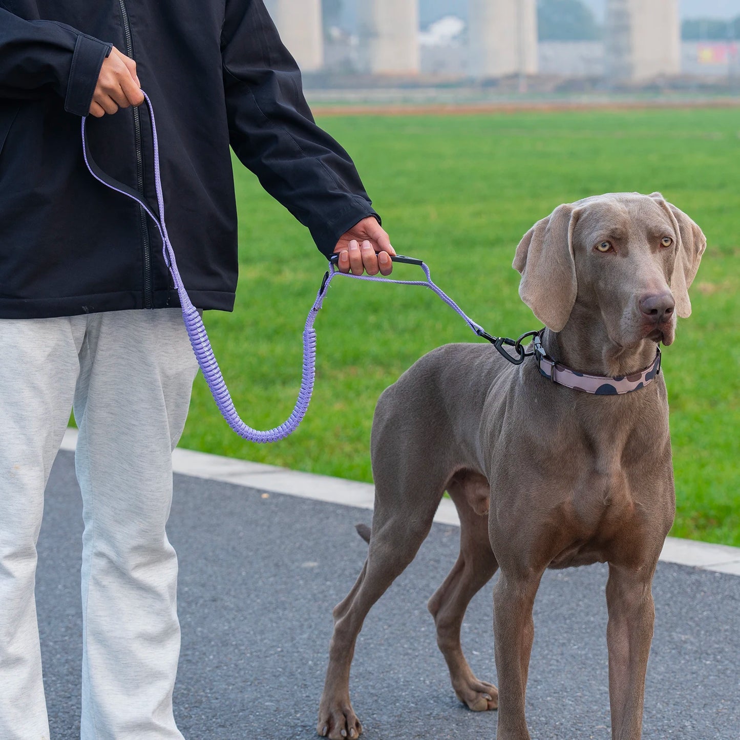 Heavy Duty Tactical Dog Lead — Reflective Bungee No-Pull Lead with Double Padded Handle for Medium & Large Dogs