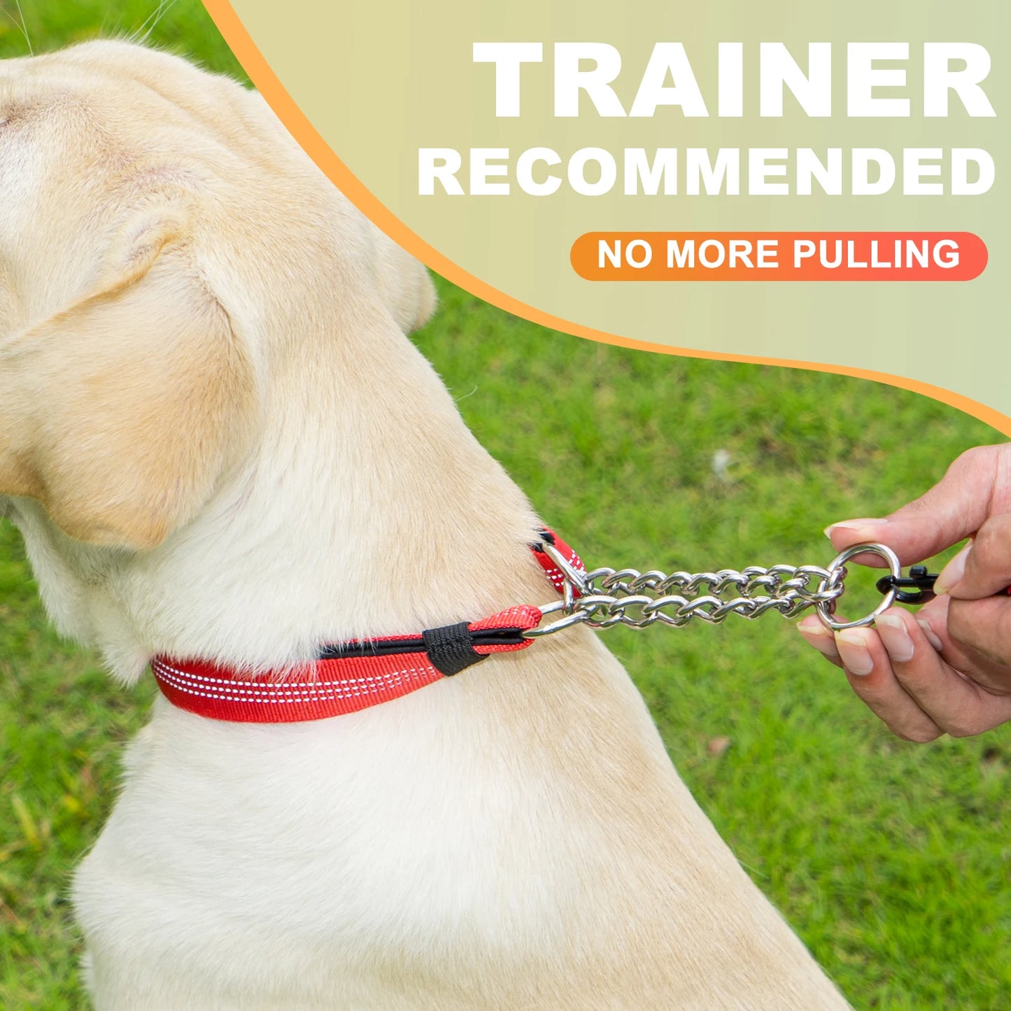 Collier réfléchissant pour chien avec support AirTag et boucle à dégagement rapide