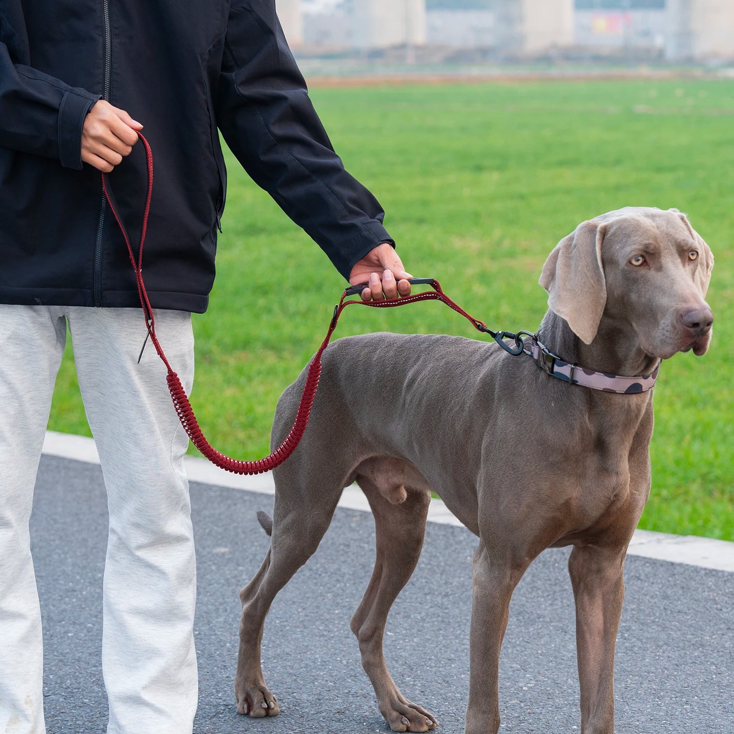 Heavy Duty Tactical Dog Lead — Reflective Bungee No-Pull Lead with Double Padded Handle for Medium & Large Dogs