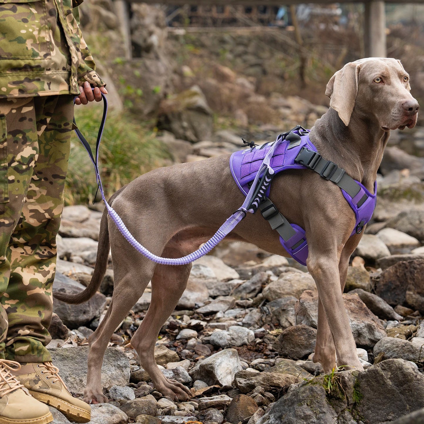 Heavy Duty Tactical Dog Lead — Reflective Bungee No-Pull Lead with Double Padded Handle for Medium & Large Dogs