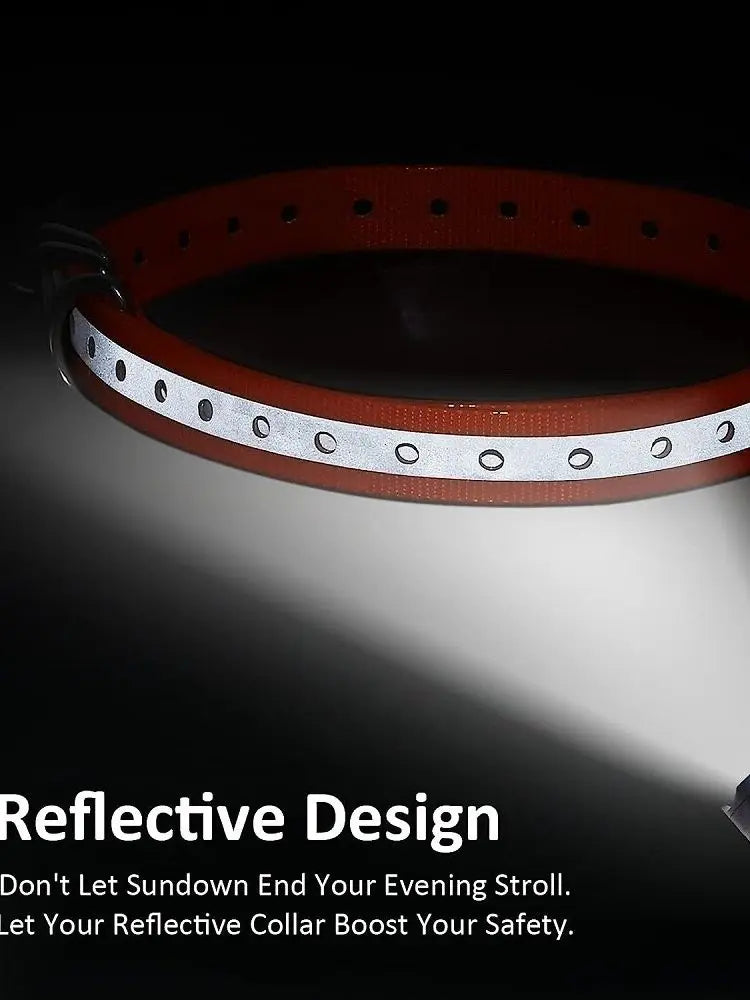 Glow-in-the-Dark TPU Dog Collar – Waterproof & Easy Clean