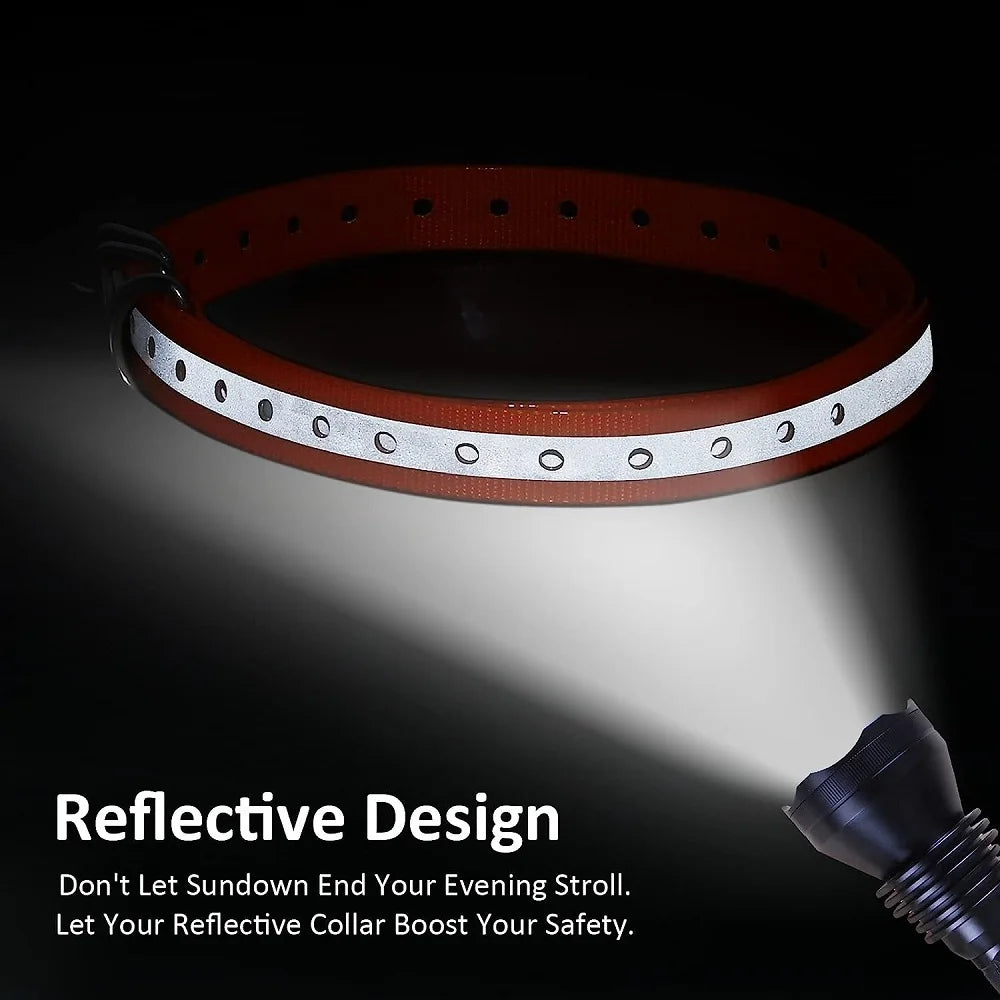 Glow-in-the-Dark TPU Dog Collar – Waterproof & Easy Clean