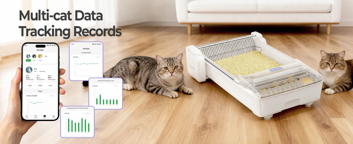 Robotail XL Self-Cleaning Cat Litter Box | Open Design | Dual Rake | Teflon Pan | 6-Cat App | 20 Liners