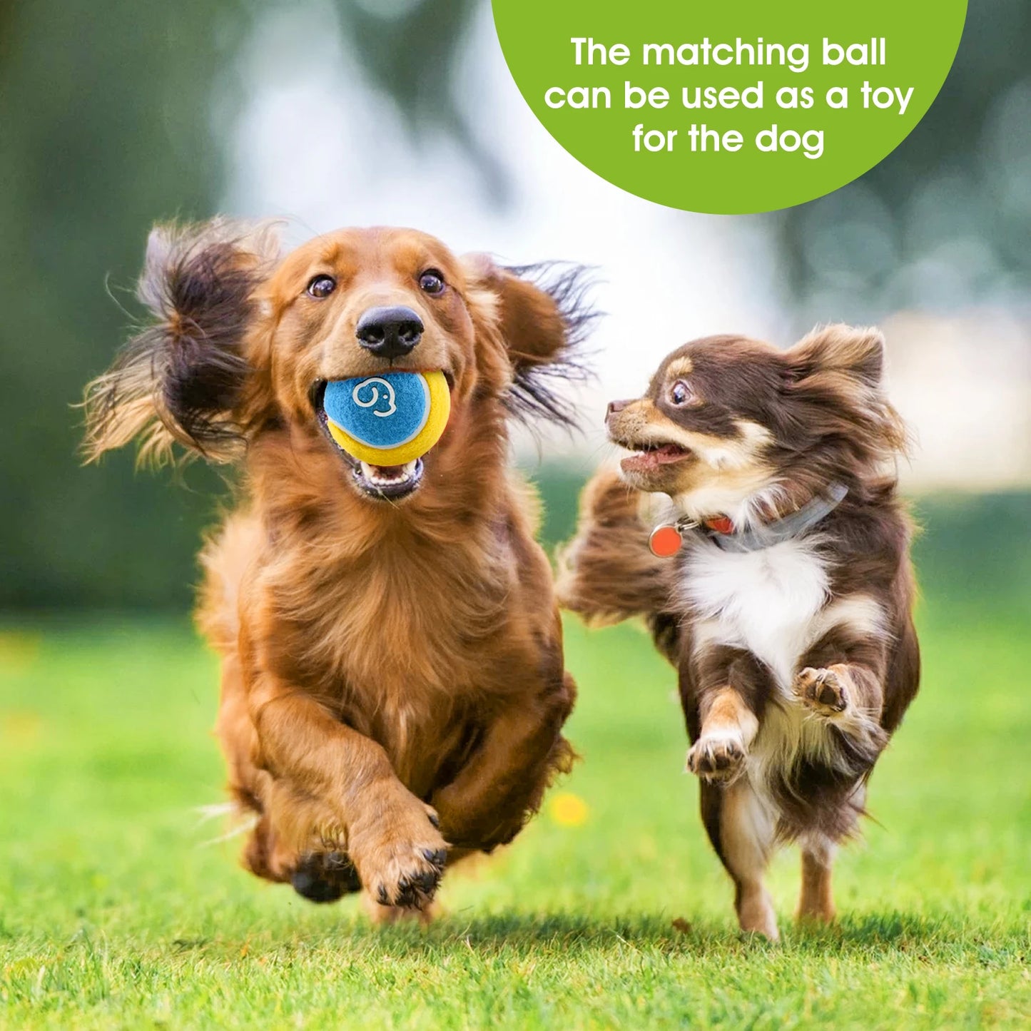 Dog Ball Launcher Throwing Stick – Interactive Fetch Toy for Training & Play
