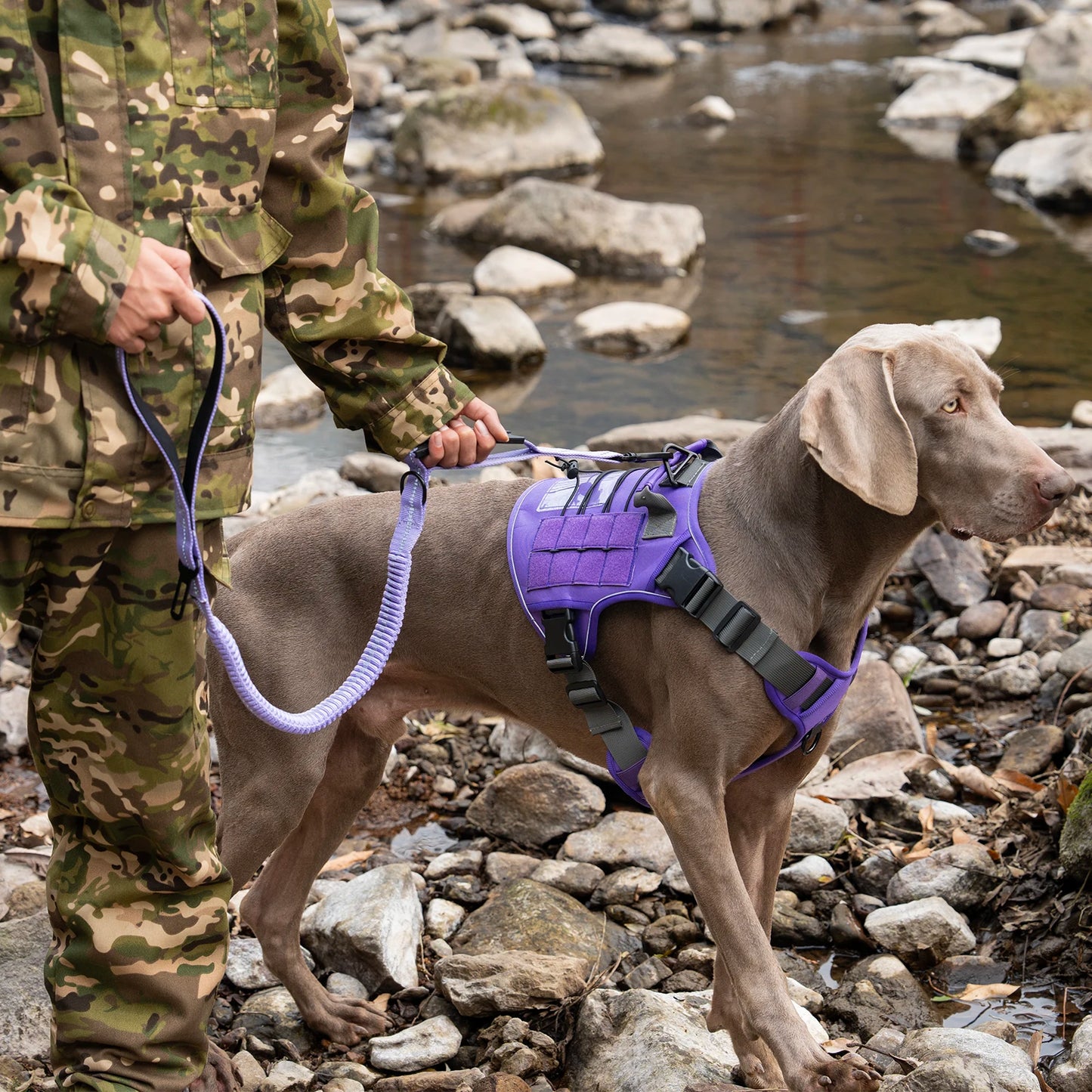 Heavy Duty Tactical Dog Lead — Reflective Bungee No-Pull Lead with Double Padded Handle for Medium & Large Dogs