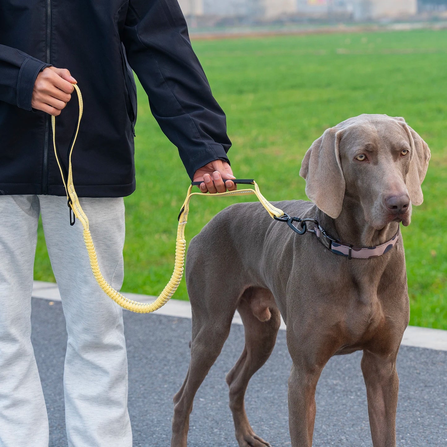 Heavy Duty Tactical Dog Lead — Reflective Bungee No-Pull Lead with Double Padded Handle for Medium & Large Dogs