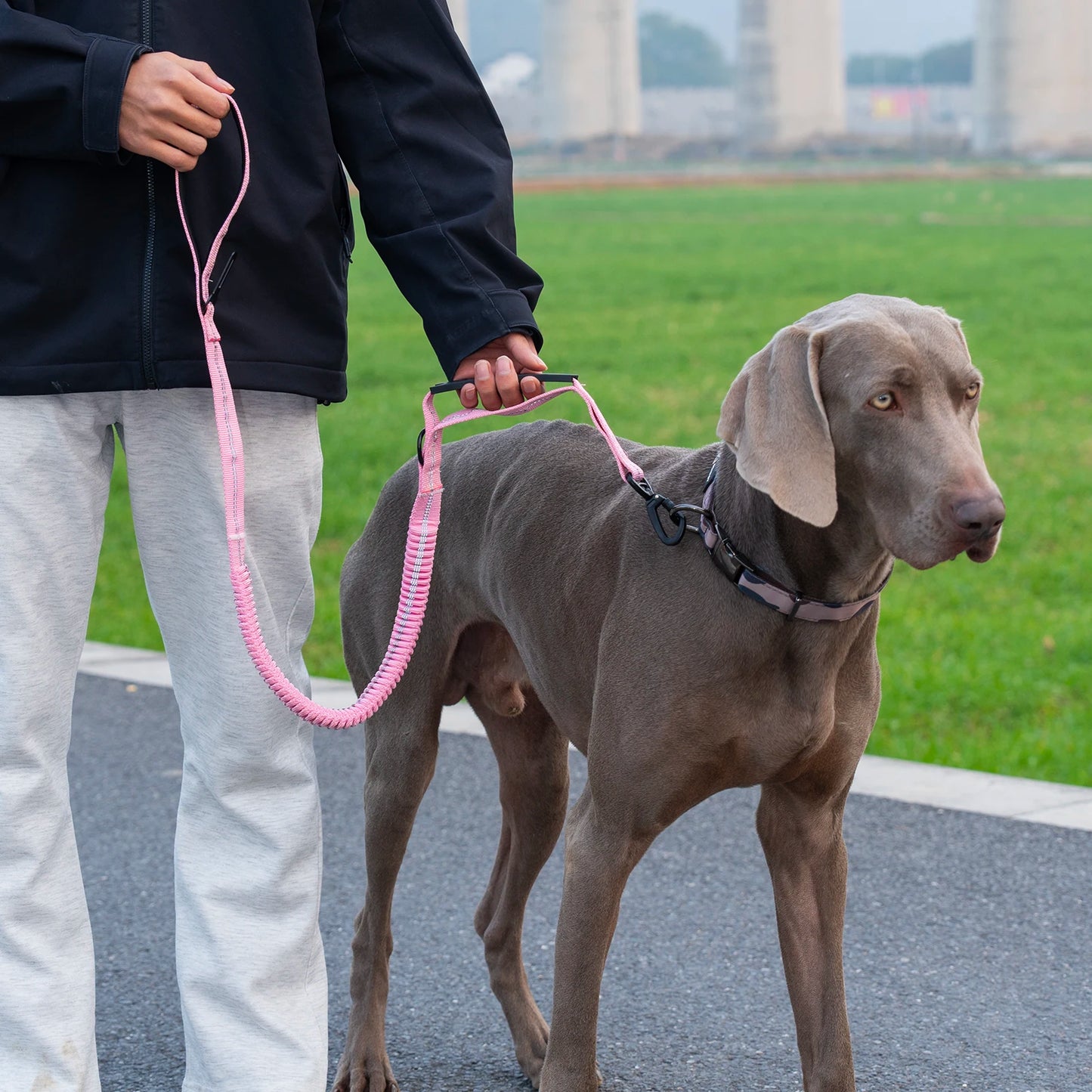 Heavy Duty Tactical Dog Lead — Reflective Bungee No-Pull Lead with Double Padded Handle for Medium & Large Dogs