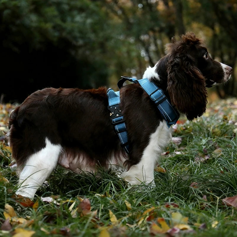Y-Shaped No-Pull Dog Harness with Leather Handle — Soft Padded, Metal Buckles & Adjustable Fit