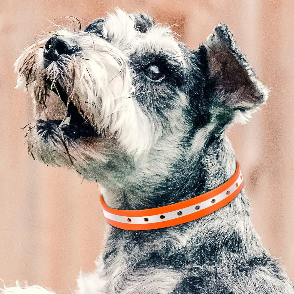 Glow-in-the-Dark TPU Dog Collar – Waterproof & Easy Clean