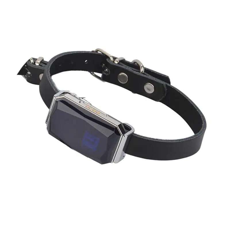 IP67 Multi-Mode GPS Tracker for Pets & Kids — Geofence, SOS & Two-Way Call
