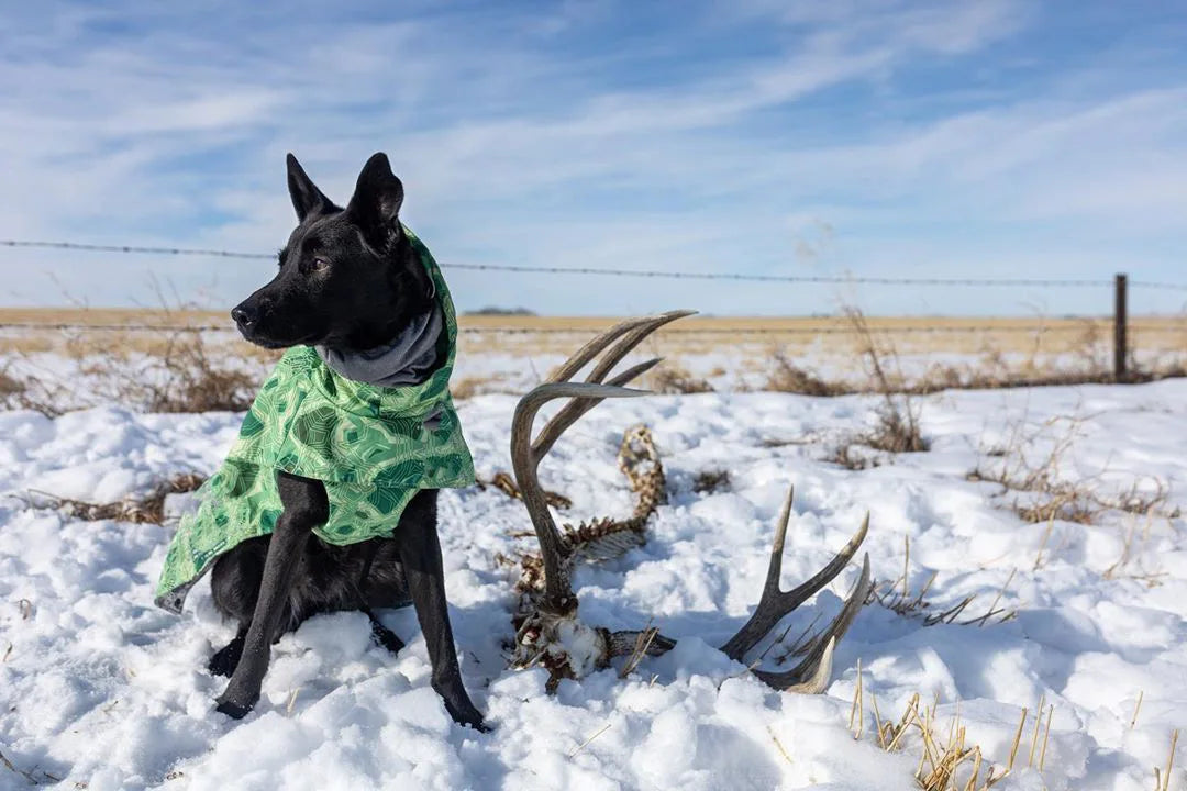 Waterproof Winter Dog Jacket – Warm Outfit for Small, Medium & Large Dogs