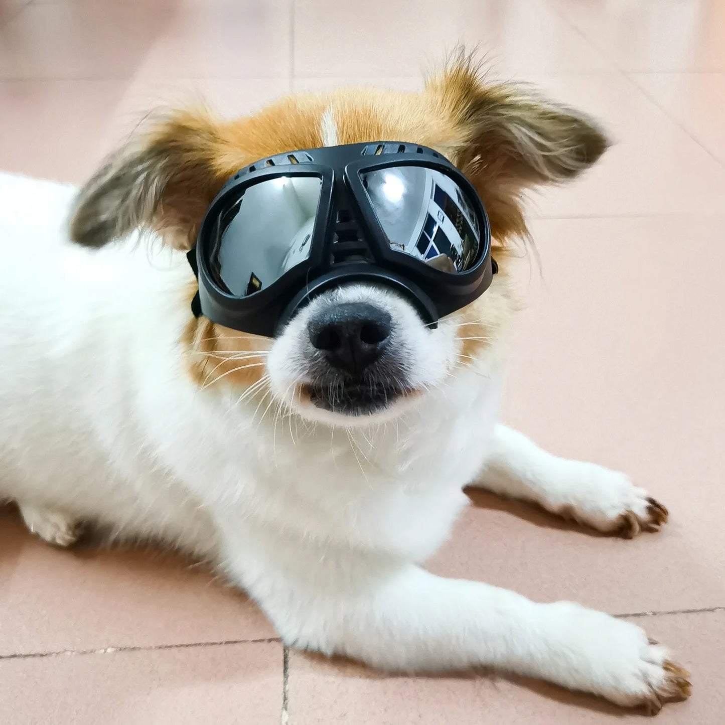 UV Protection Windproof Dog Goggles & Sunglasses