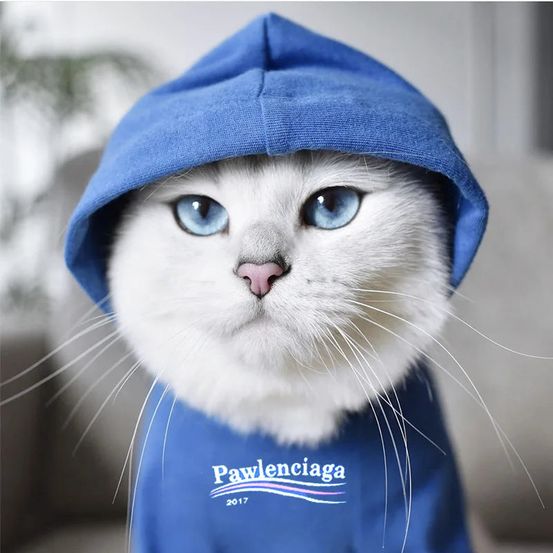 Plush Cotton Hoodie Jacket for Dogs & Cats