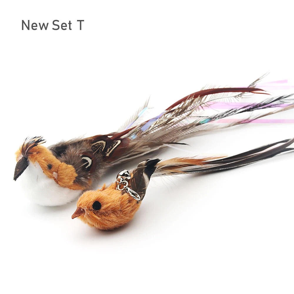 Feather Bird Cat Teaser Toy Set (2 Pack)