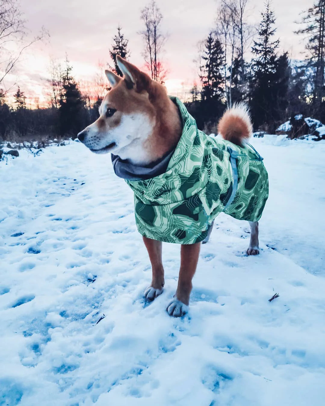 Waterproof Winter Dog Jacket – Warm Outfit for Small, Medium & Large Dogs