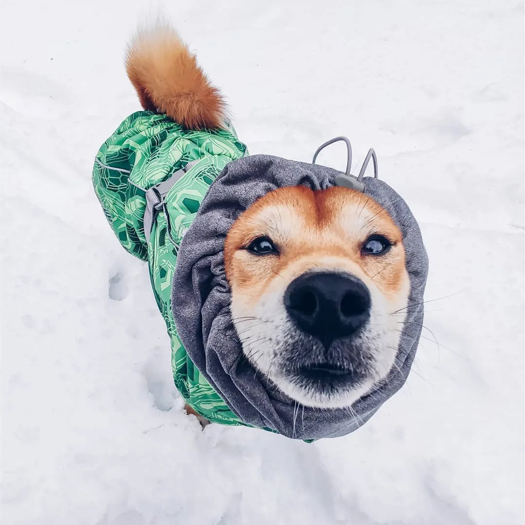 Waterproof Winter Dog Jacket – Warm Outfit for Small, Medium & Large Dogs